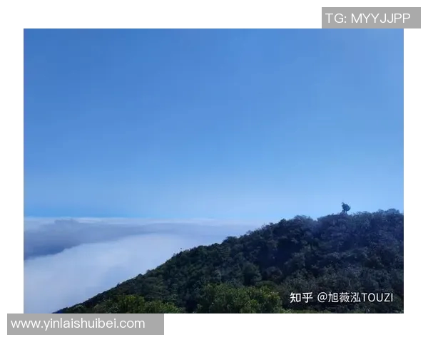 赵秀英亲述极限运动的挑战与乐趣分享，带你领略极限运动的魅力与心得