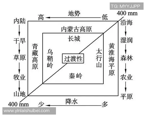 乒乓球深度探讨西安乒乓球队的战术盯防与技术分析